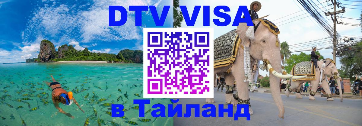 Оформление DTV визы под ключ: стоимость и тарифы, только загранпаспорт - 04.10.2025 